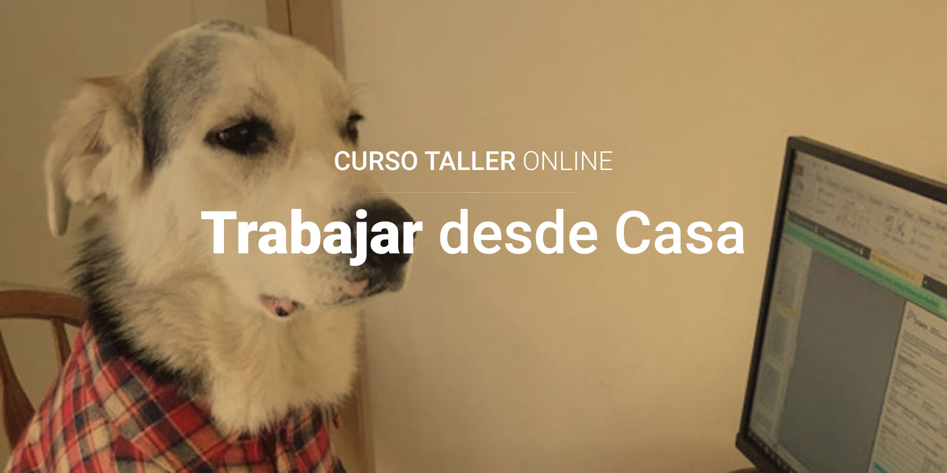 Taller trabajar desde casa